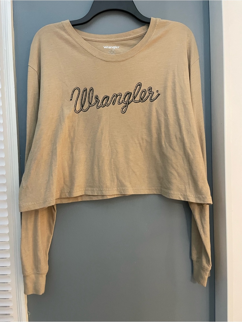 Wrangler Beige Cropped Long-Sleeve Logo Top